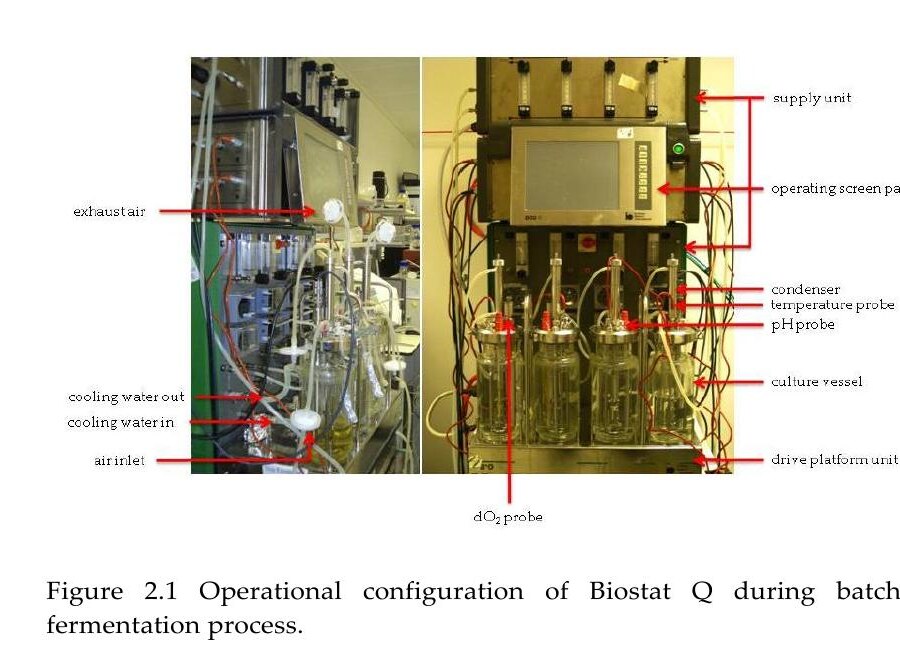 Konfiguracja robocza BIOSTAT Q z oznaczeniem jednostki zasilającej, ekranu, naczyń, sond i przyłączy