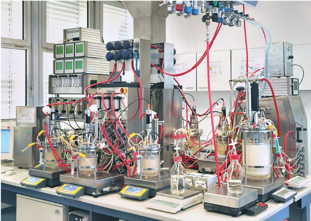 Zautomatyzowana instalacja DoE z BIOSTAT Qplus i BIOSTAT Bplus