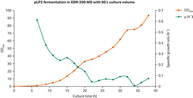Wzrost E. coli w XDR-200 MO przy skali 80 L