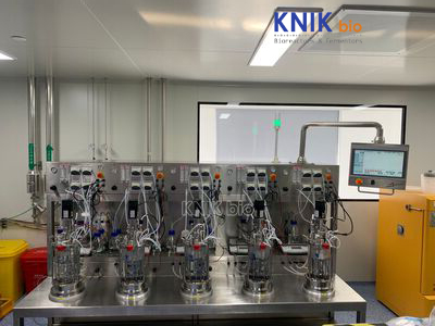 KNIKBIO XG Parallel Glass Bioreactor 2–12× — fotografia lub widok przypisany przez producenta do tej karty/rodziny.