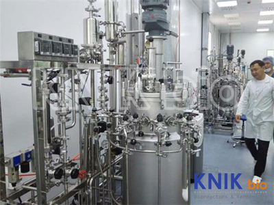 KNIKBIO V/XV Vaccine Bioreactor System