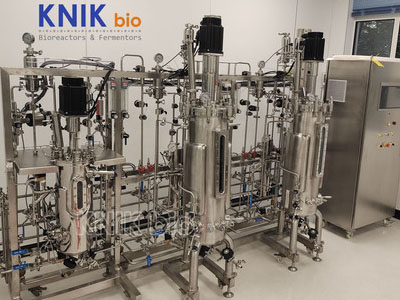 KNIKBIO XSJ Multi-stage Stainless Fermentation System