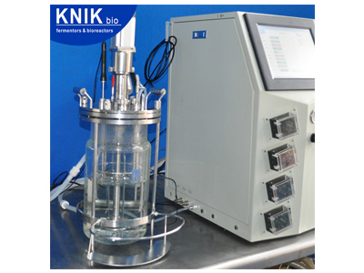 KNIKBIO XGCAV/XGJAV Vertical In-situ Glass Bioreactor — fotografia lub widok przypisany przez producenta do tej karty/rodziny.