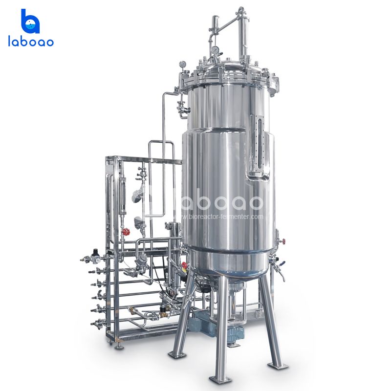 LABOAO XSJ/SJA/SJB Stainless Mechanical Bioreactor — widok 3 z materiałów producenta (800×800).