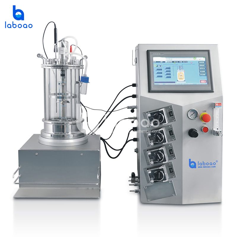 LABOAO XGJG/XGJGG All-glass Off-site Bioreactor — widok 2 z materiałów producenta (800×800).