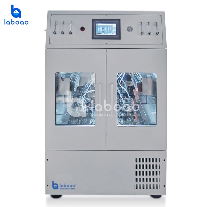 LABOAO HYG Shaker-type Mini Bioreactor — widok 1 z materiałów producenta (800×800).