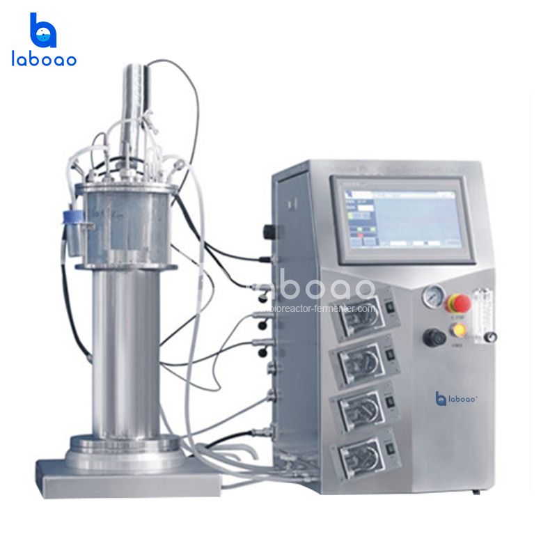 LABOAO XGQ/XGQA/XSQ Airlift Bioreactor — widok 3 z materiałów producenta (800×800).