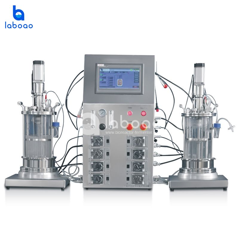 LABOAO Parallel Glass Bioreactor 2× — widok 1 z materiałów producenta (800×800).