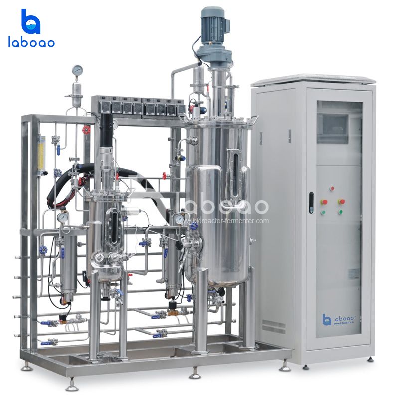 LABOAO Secondary/Tertiary Stainless Fermentation System — widok 1 z materiałów producenta (800×800).