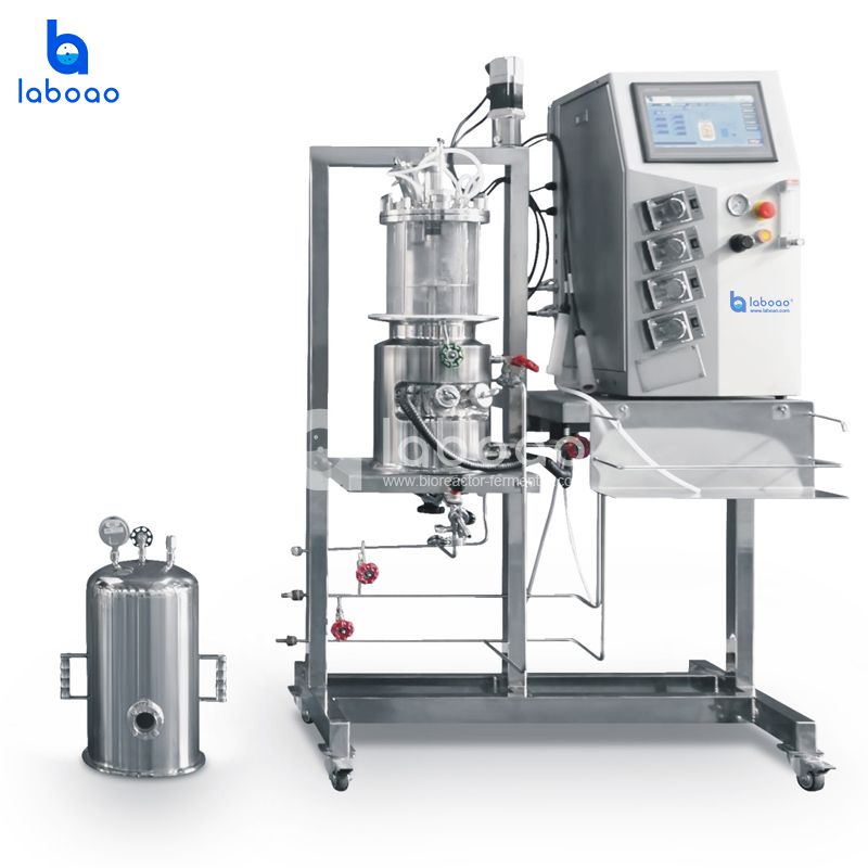 LABOAO XGCAV/XGJAV Vertical In-situ Glass Bioreactor — widok 2 z materiałów producenta (800×800).