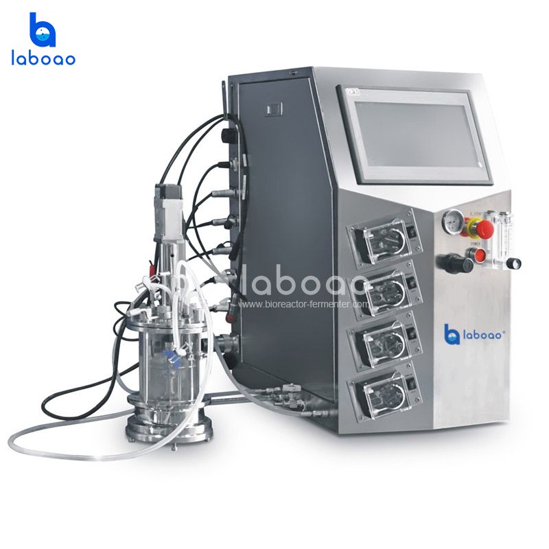 LABOAO GC/GJ Mini Bioreactor — rodzina — widok 2 z materiałów producenta (800×800).