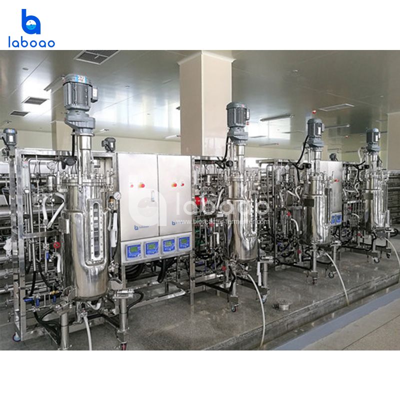 LABOAO FMT Metabolic Flow Bioreactor — widok 3 z materiałów producenta (800×800).