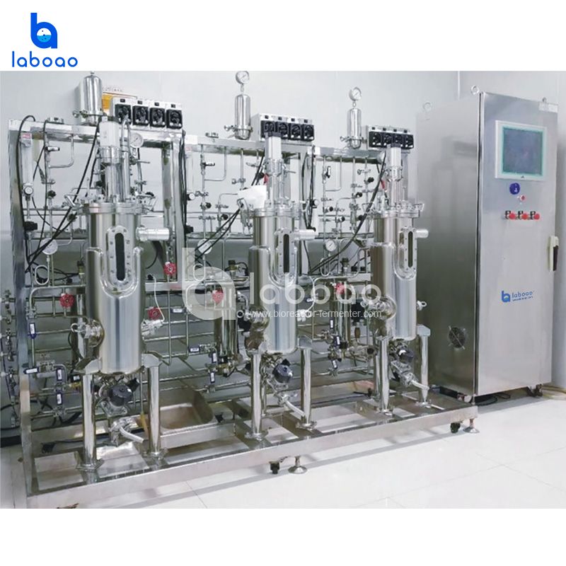 LABOAO Parallel Stainless Bioreactor 2–50× — widok 1 z materiałów producenta (800×800).