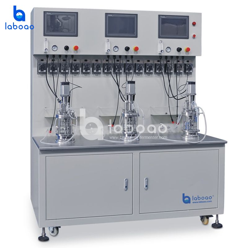 LABOAO Parallel Glass Bioreactor 3×/5× — widok 1 z materiałów producenta (800×800).