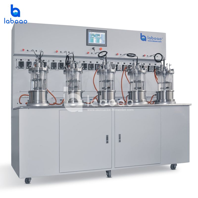 LABOAO Parallel Glass Bioreactor 3×/5× — widok 3 z materiałów producenta (800×800).