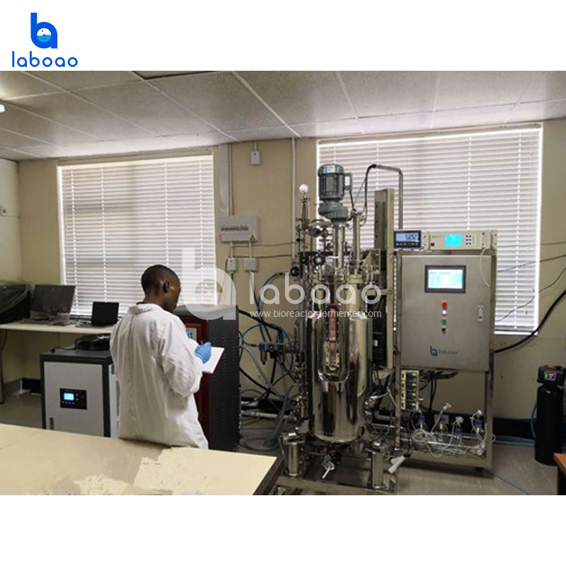 LABOAO FMT Metabolic Flow Bioreactor — widok 1 z materiałów producenta (800×800).