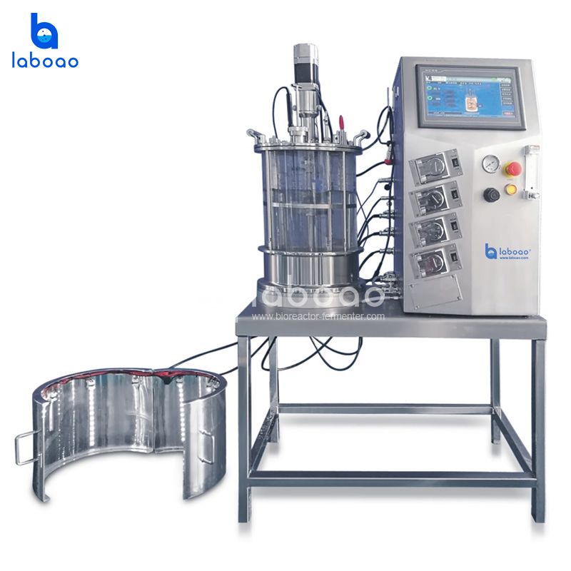 LABOAO Plant Cell / Illumination Bioreactor — widok 3 z materiałów producenta (800×800).