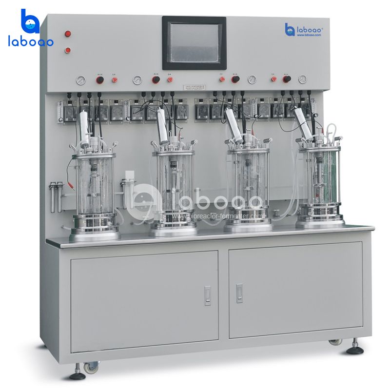 LABOAO Parallel Glass Bioreactor 4×