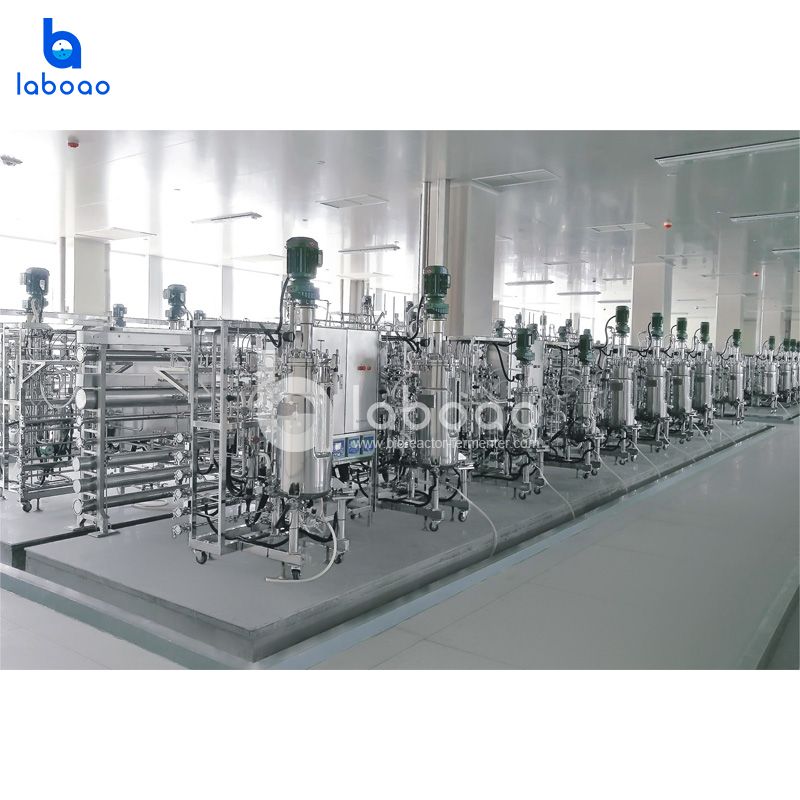 LABOAO Parallel Stainless Bioreactor 2–50× — widok 3 z materiałów producenta (800×800).
