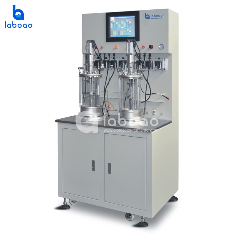 LABOAO Parallel Glass Bioreactor 2× — widok 3 z materiałów producenta (800×800).