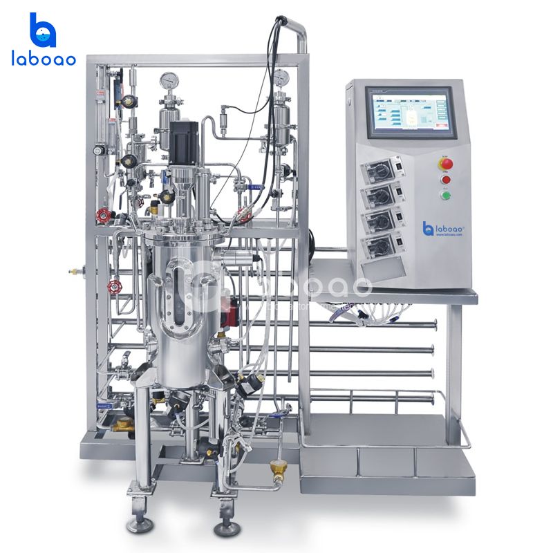LABOAO XSJ/SJA/SJB Stainless Mechanical Bioreactor — widok 1 z materiałów producenta (800×800).