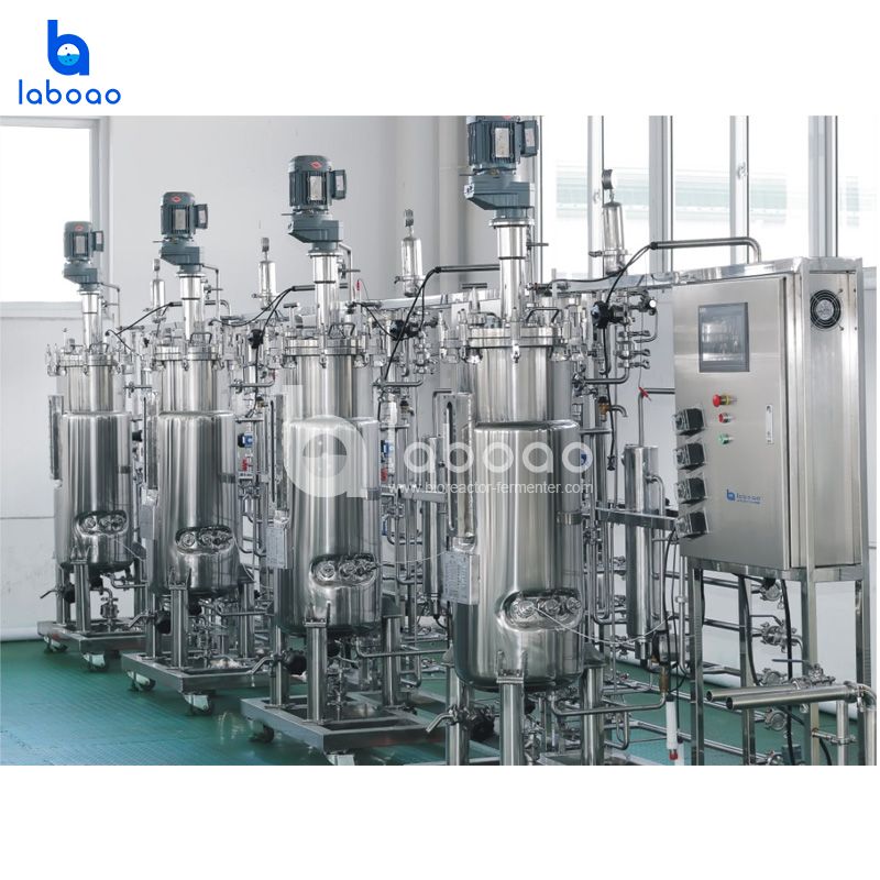 LABOAO Parallel Stainless Bioreactor 2–50× — widok 2 z materiałów producenta (800×800).