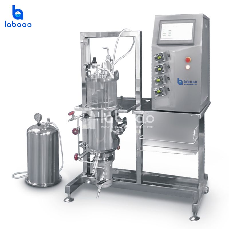 LABOAO XGCAV/XGJAV Vertical In-situ Glass Bioreactor — widok 1 z materiałów producenta (800×800).