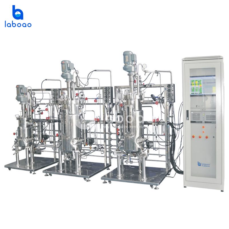 LABOAO Secondary/Tertiary Stainless Fermentation System — widok 3 z materiałów producenta (800×800).