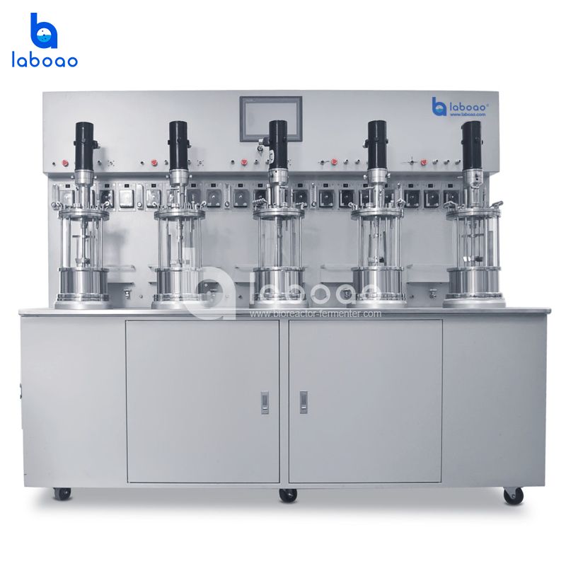 LABOAO Parallel Glass Bioreactor 3×/5× — widok 2 z materiałów producenta (800×800).