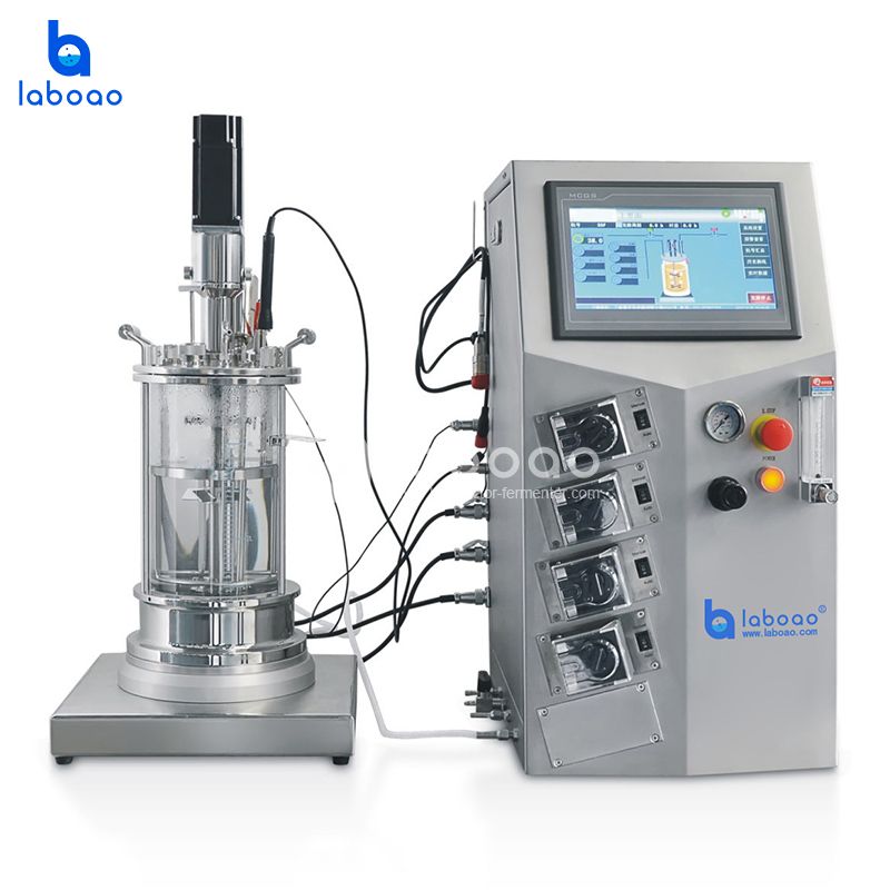 LABOAO XGJG/XGJGG All-glass Off-site Bioreactor — widok 3 z materiałów producenta (800×800).