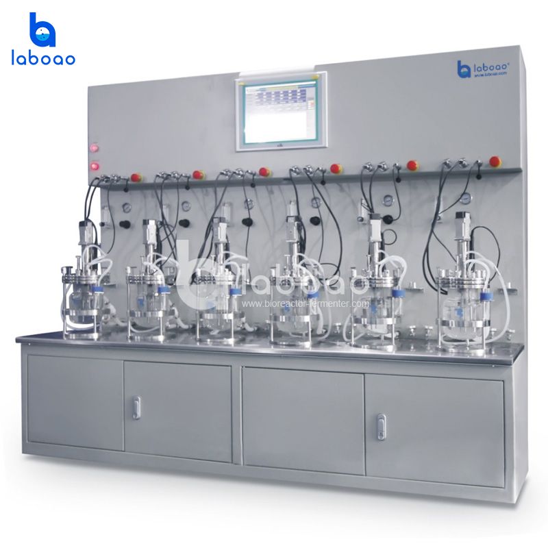 LABOAO Parallel Glass Bioreactor 6–12×