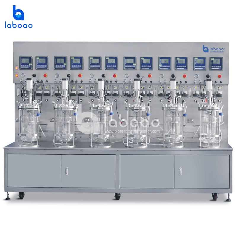 LABOAO Parallel Glass Bioreactor 6–12× — widok 2 z materiałów producenta (800×800).