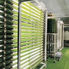 Ollital GY-23GS-400L — rurowy fotobioreaktor przemysłowy 400 l