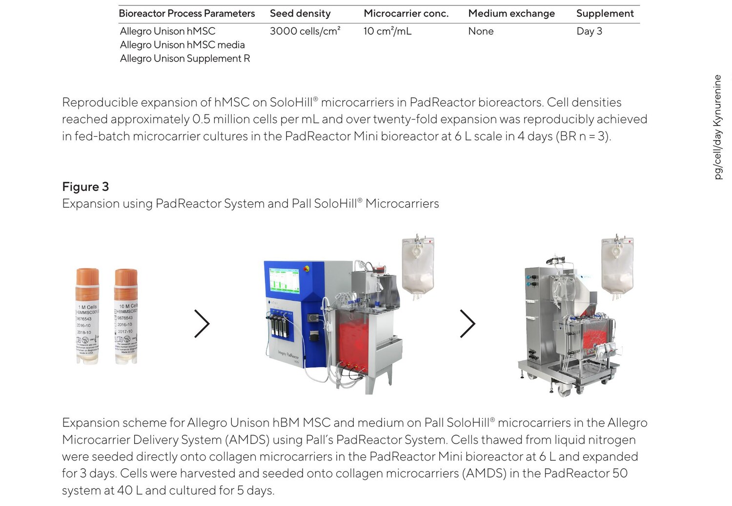 Schemat przejścia z PadReactor Mini 6 L do PadReactor 50